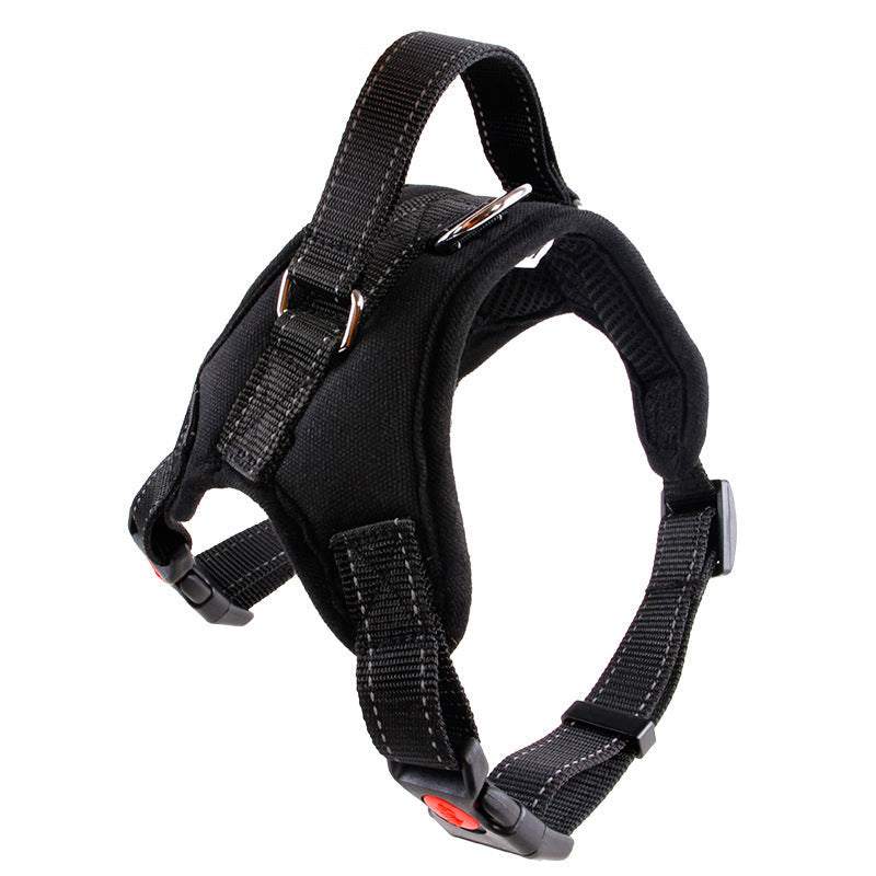Medium and large nylon dog collars in various colors and prints for pet supplies
