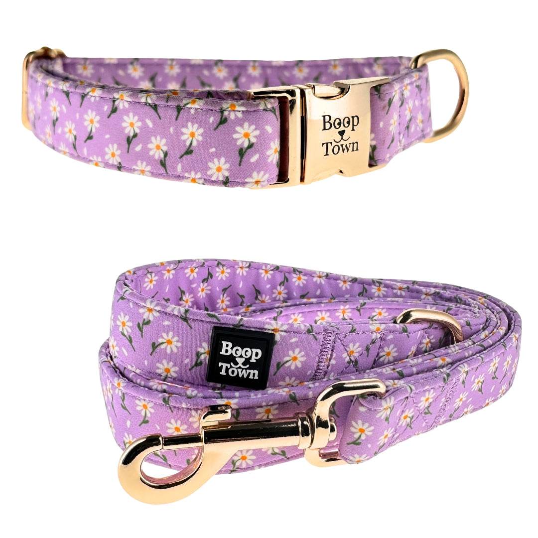 Dog collar and leash set with soft cotton fabric and gold-toned hardware for comfort and style
