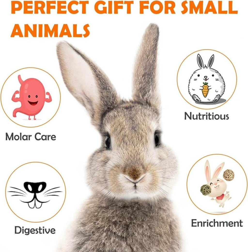 32pcs natural Timothy Hay Sticks assortment for rabbits, guinea pigs, hamsters, and small pets