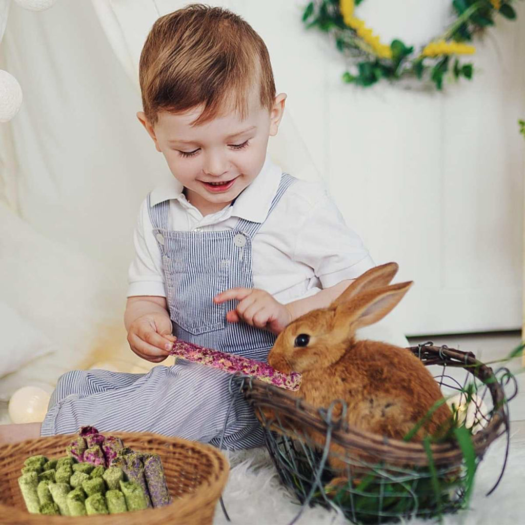 32pcs natural timothy hay sticks for rabbits and small pets chew and treat set