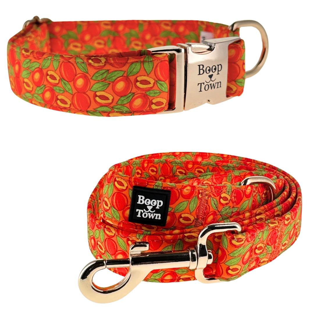 Dog collar and leash set with soft cotton fabric and gold-toned hardware for comfort and style
