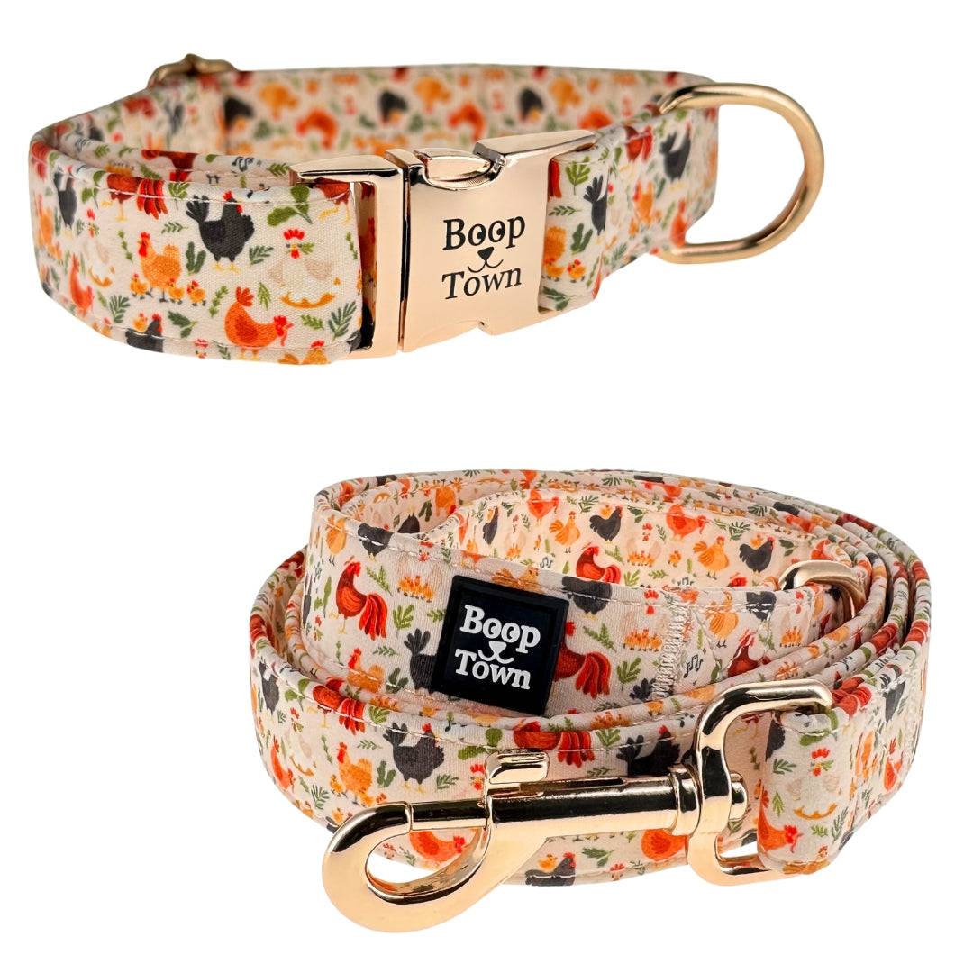 Comfortable and stylish dog collar and leash sets with gold-toned hardware and adjustable fit for all-day wear