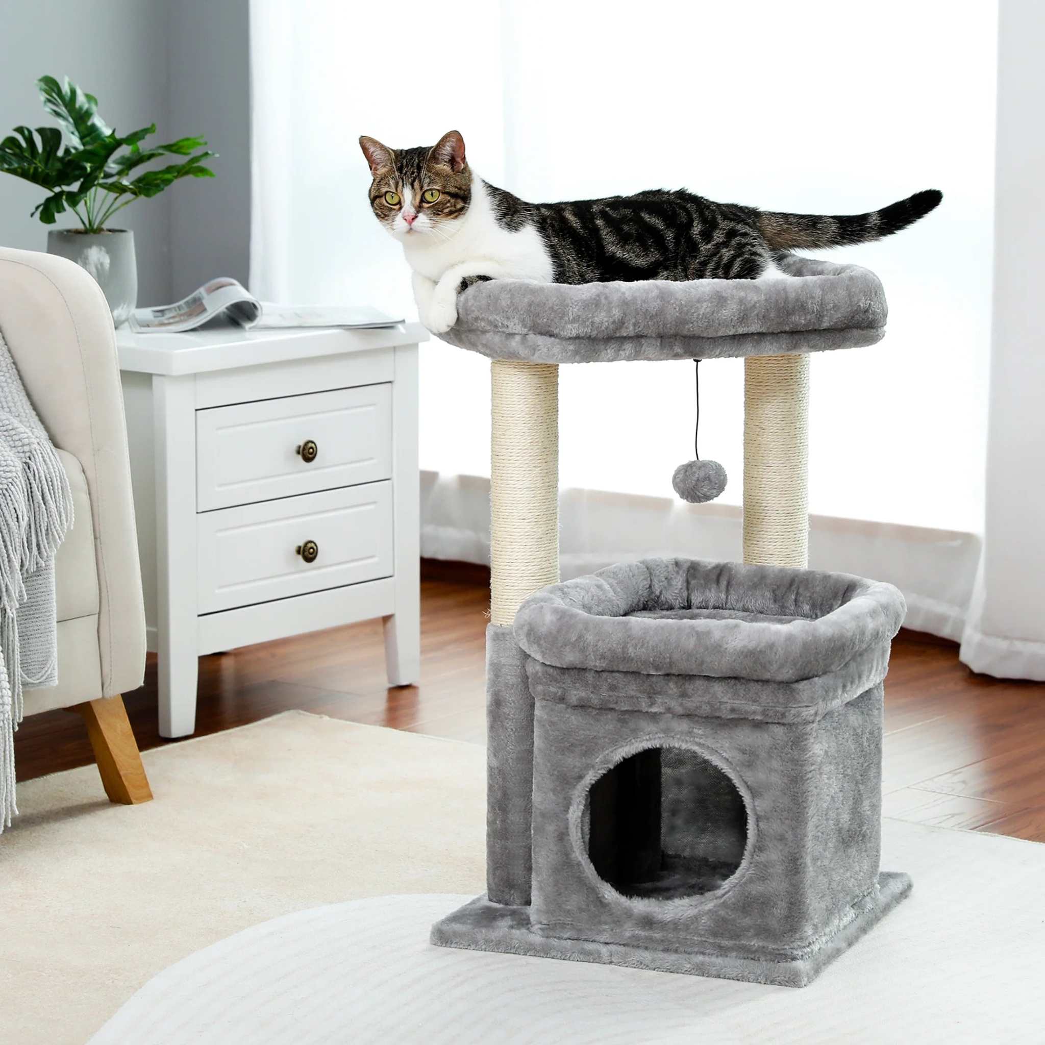 Cozy gray cat tree condo with scratching posts and plush perches for medium cats