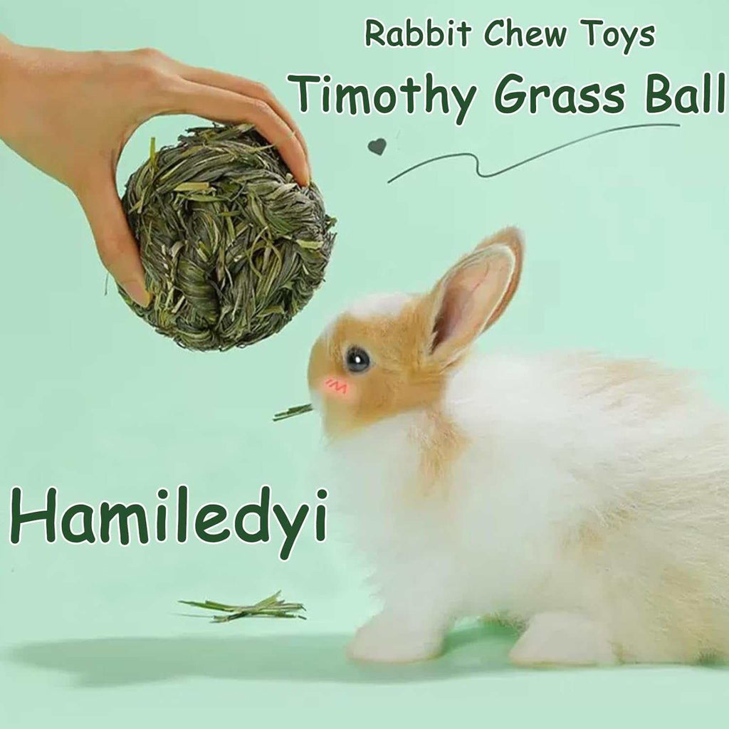 Timothy Grass Chew Ball natural pet toy for rabbits, hamsters, and guinea pigs