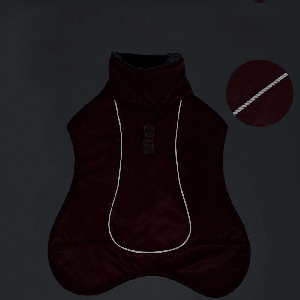 Dog wearing cloak style thickened and warm dog clothes with reflective strips for outdoor safety