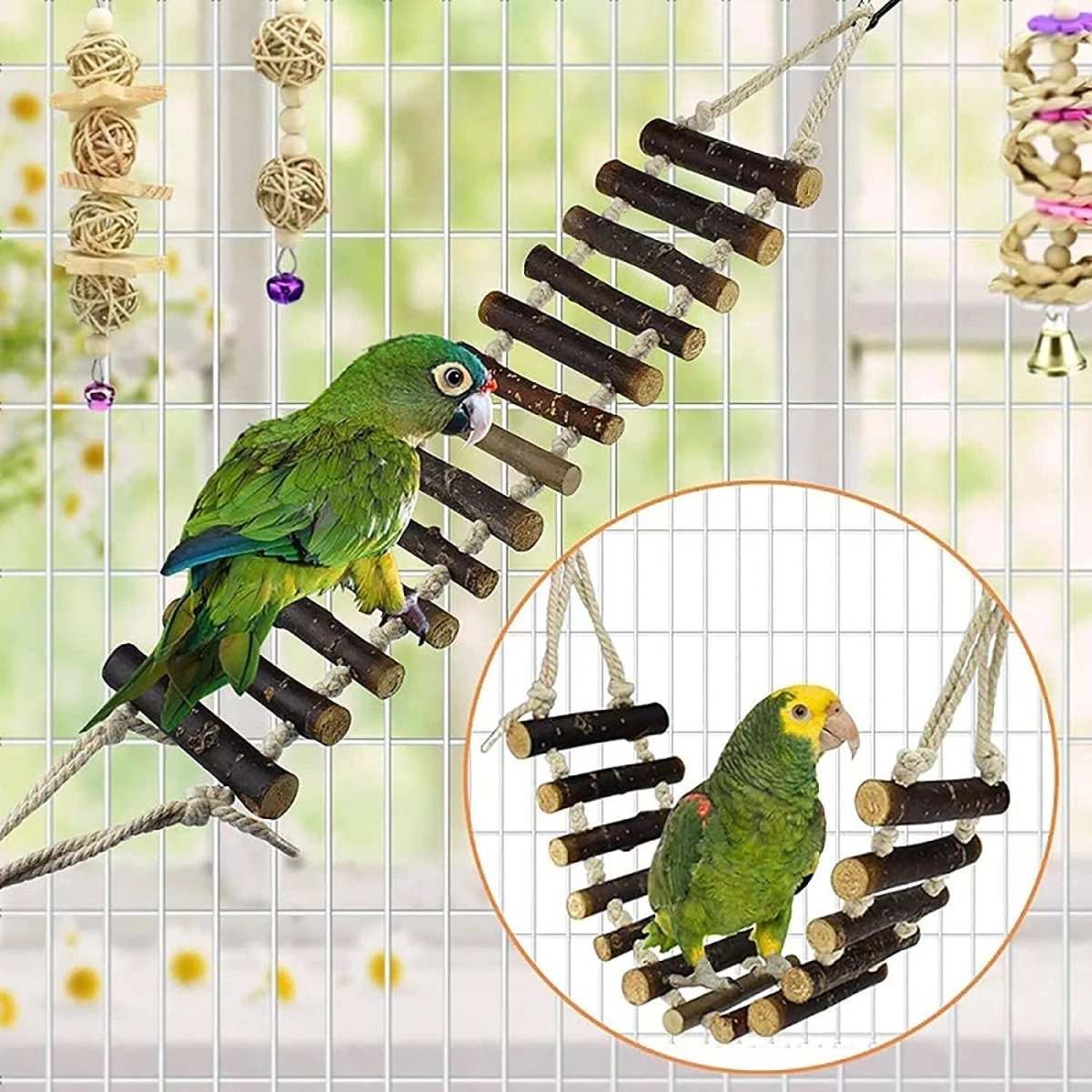 8 pack colorful bird toys for cage accessories including perch, ladder, hammock, swings, and chew toys for small birds
