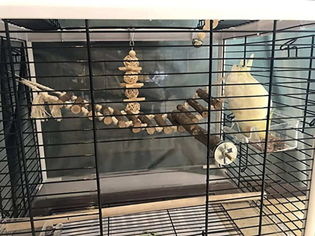 8 pack bird toys for cage accessories including perch, ladder, hammock, swings, and chewing toys for small to medium birds