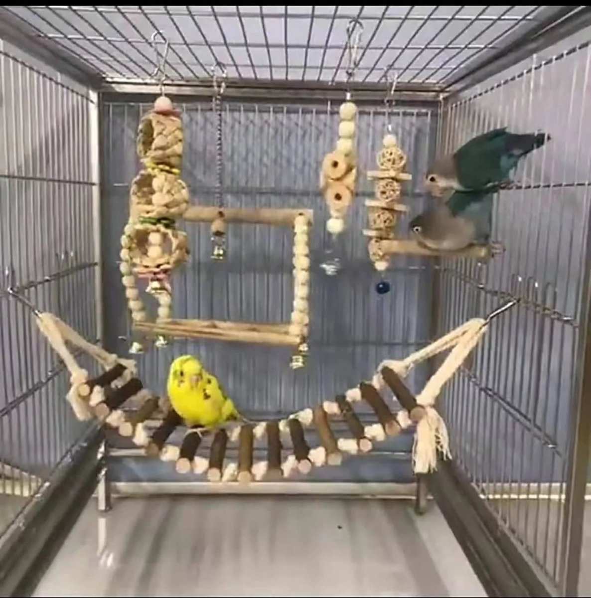 8 pack bird toys for cage accessories including perch, ladder, hammock, swings, and chewing toys for small to medium birds