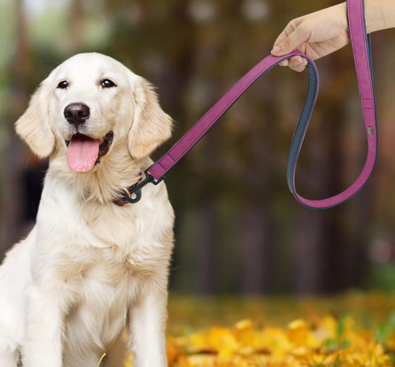 Blue and purple pull-resistant leather pet dog leashes in various colors and sizes