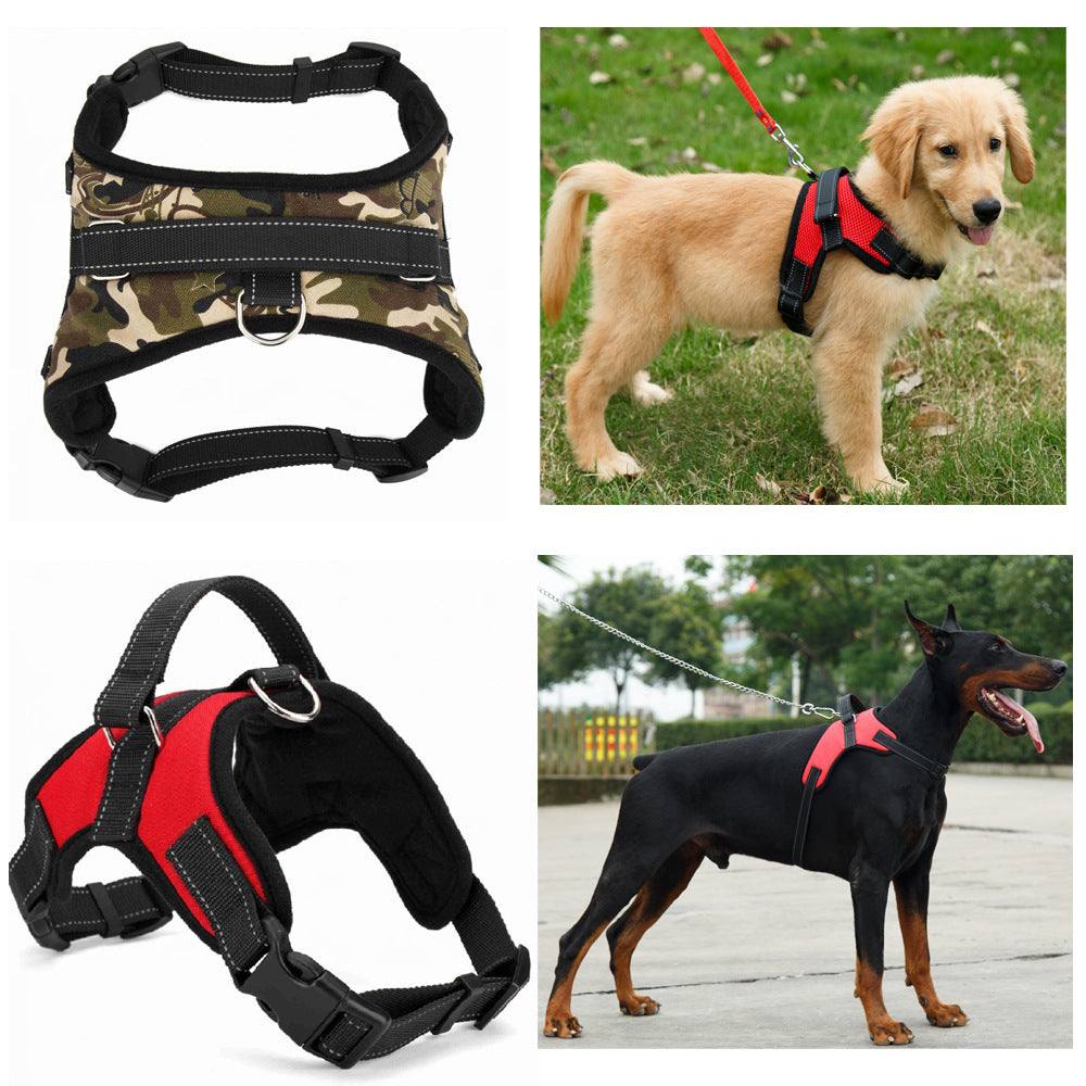 Various nylon dog collars and leashes in black, red, camouflage, and leopard print for medium and large dogs.