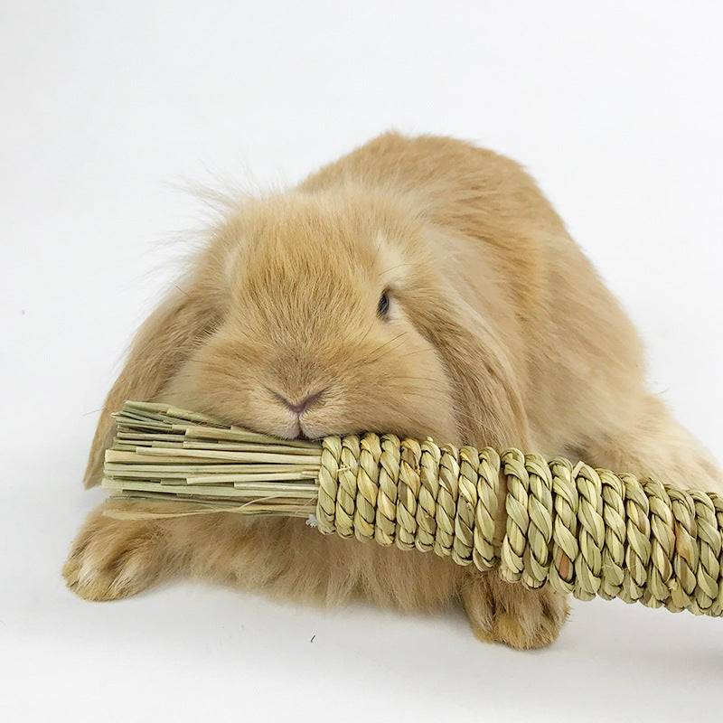 Pet hand woven water grass carrot toy for small pet teeth grinding and dental health
