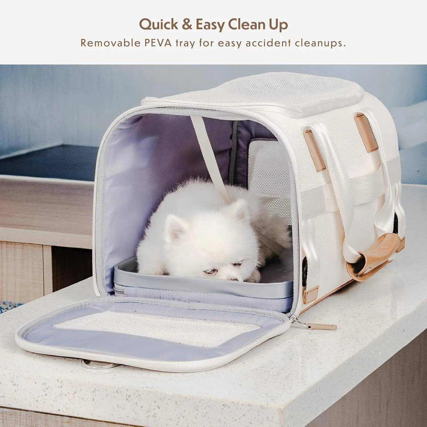 Argo Pawsport Pet Carrier soft-sided airline approved travel carrier with breathable mesh and trolley strap