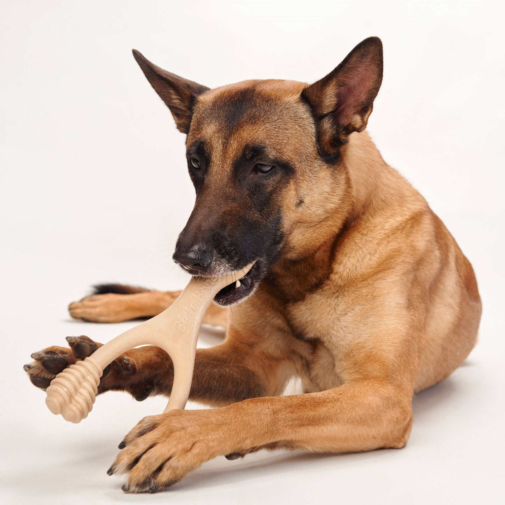 BetterBone MEDIUM Durability eco-friendly plant-based dog chew toy with dental nubs and natural beef flavor
