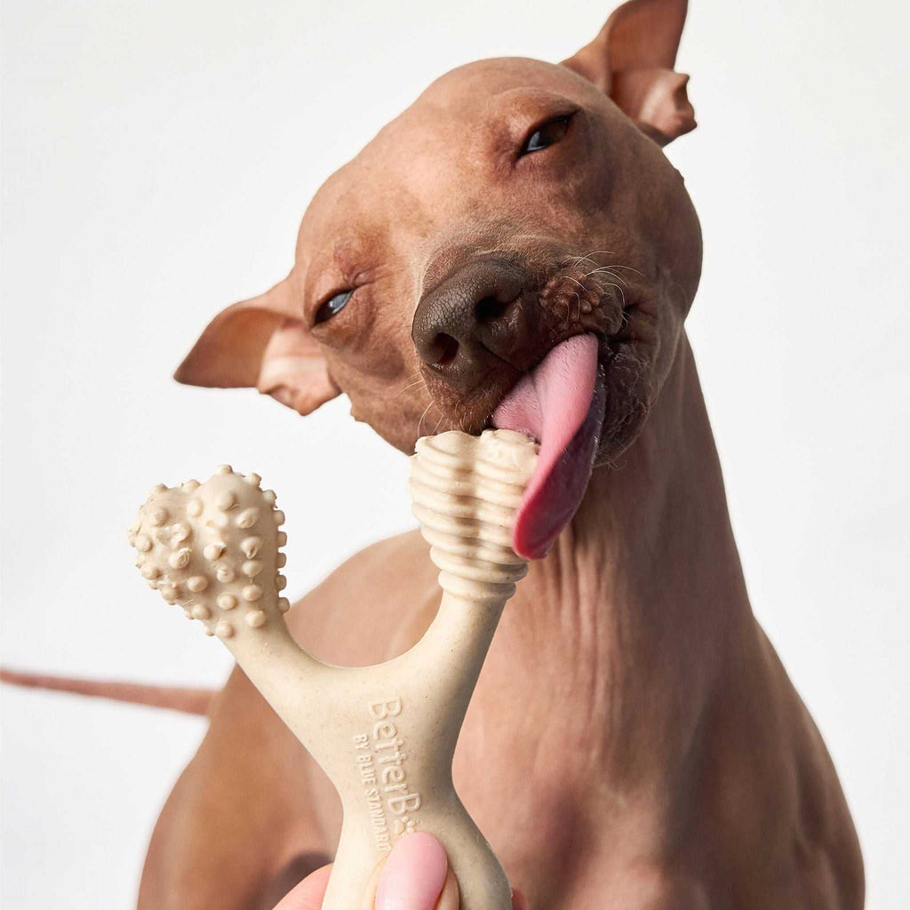 BetterBone MEDIUM Durability eco-friendly plant-based dog chew toy with dental nubs and natural beef flavor