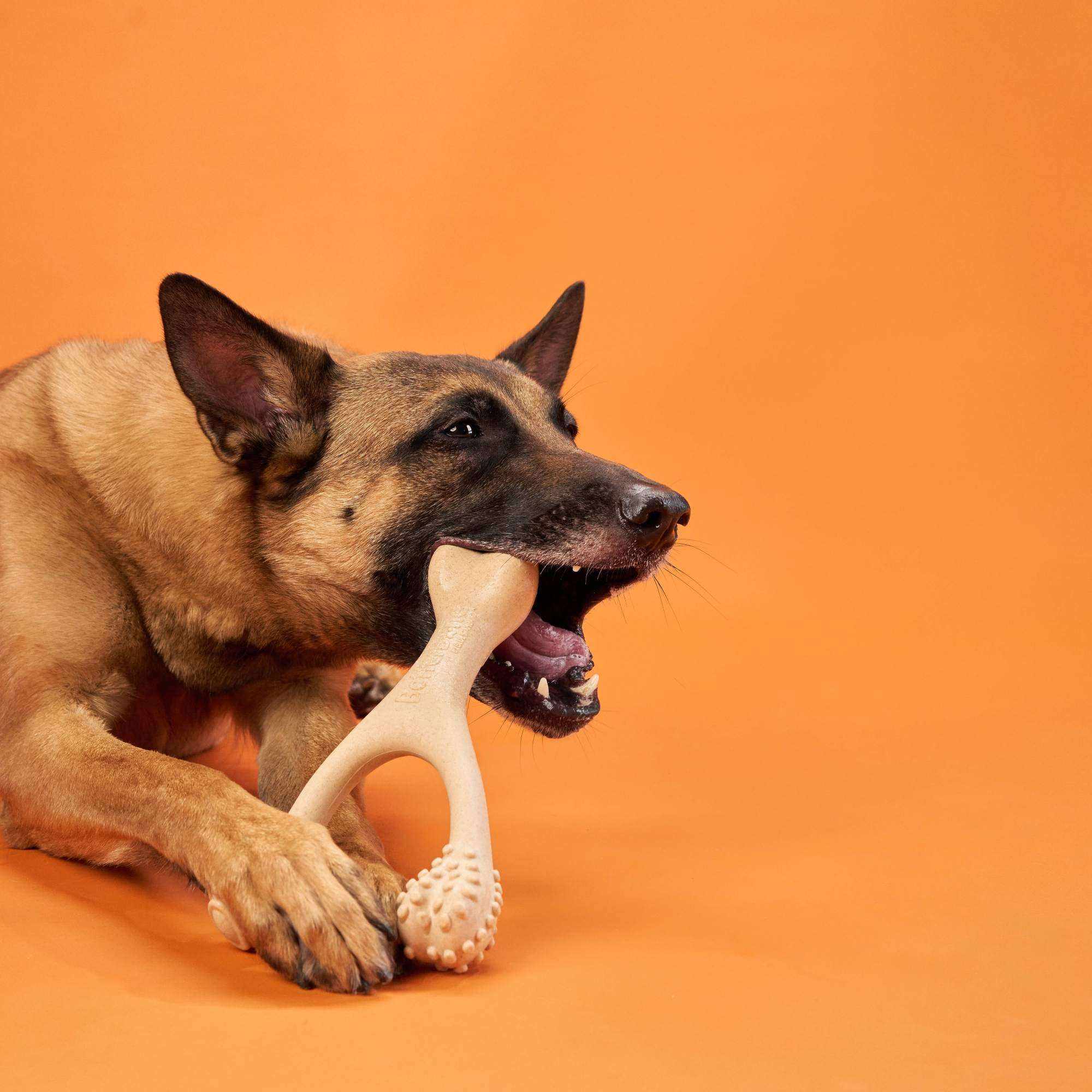 Eco-friendly dog chew toy