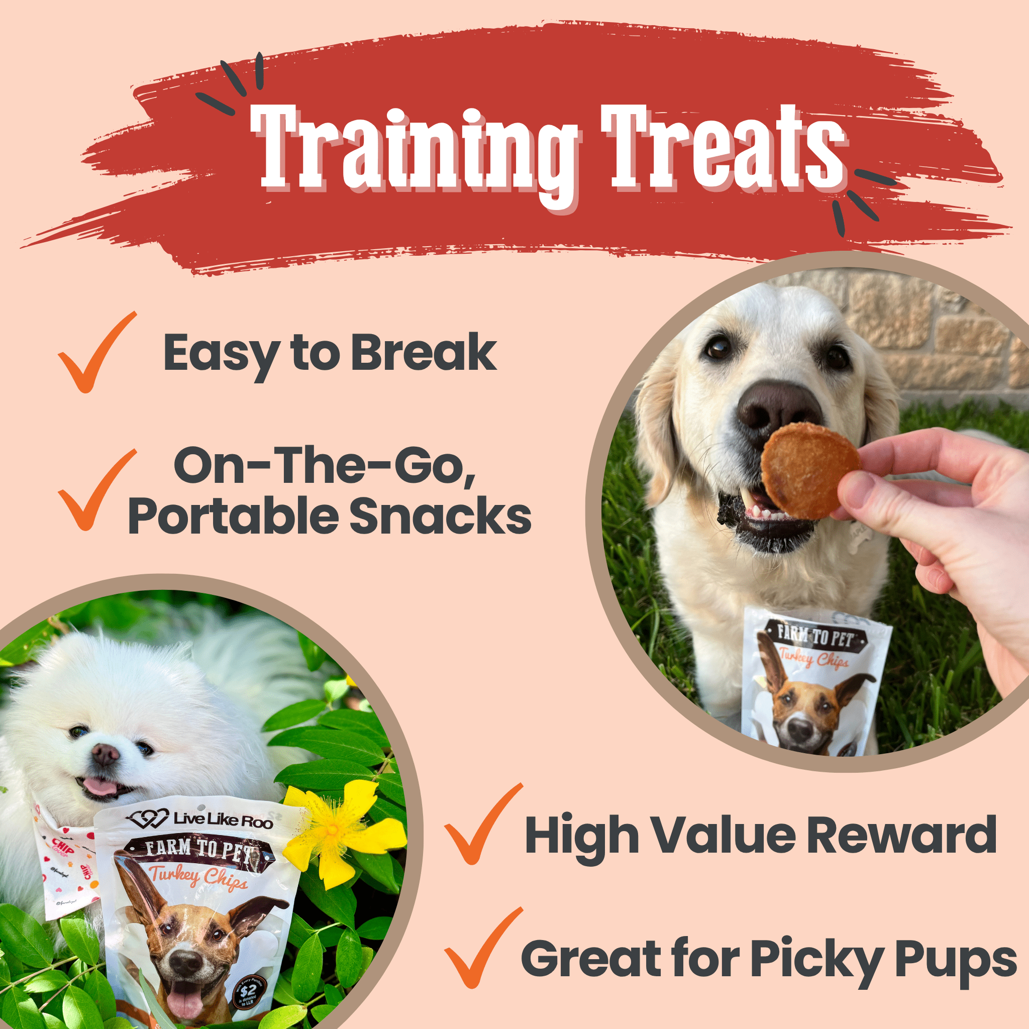 Live Like Roo Turkey Chips dog treats supporting canine cancer care with natural turkey breast snacks