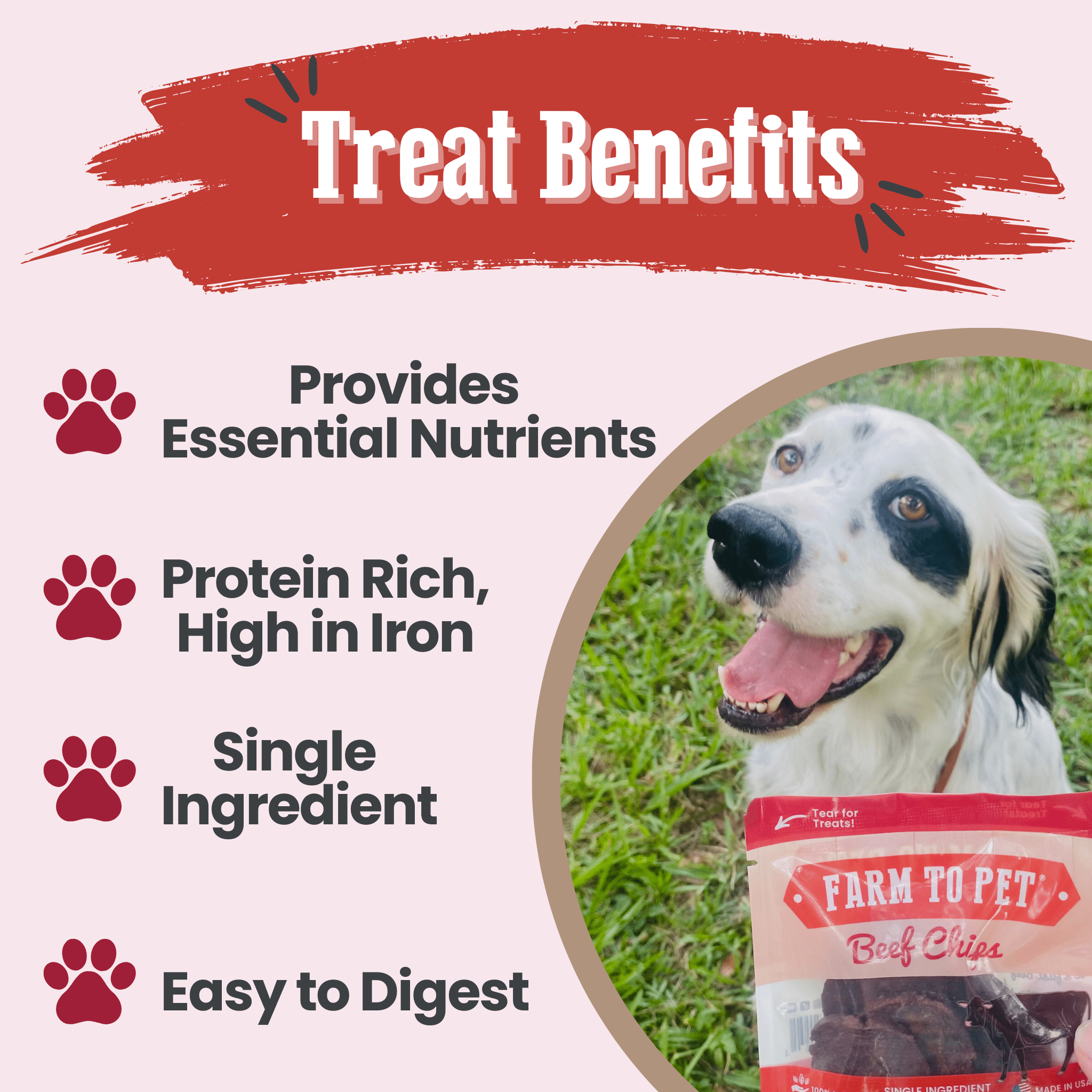 Pack of Farm to Pet Beef Chips dog treats in travel-friendly snack bundles