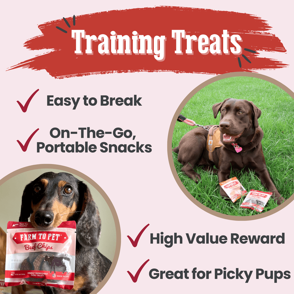 Beef Chips Snack Pack Bundles healthy protein-rich dog treats for training and travel