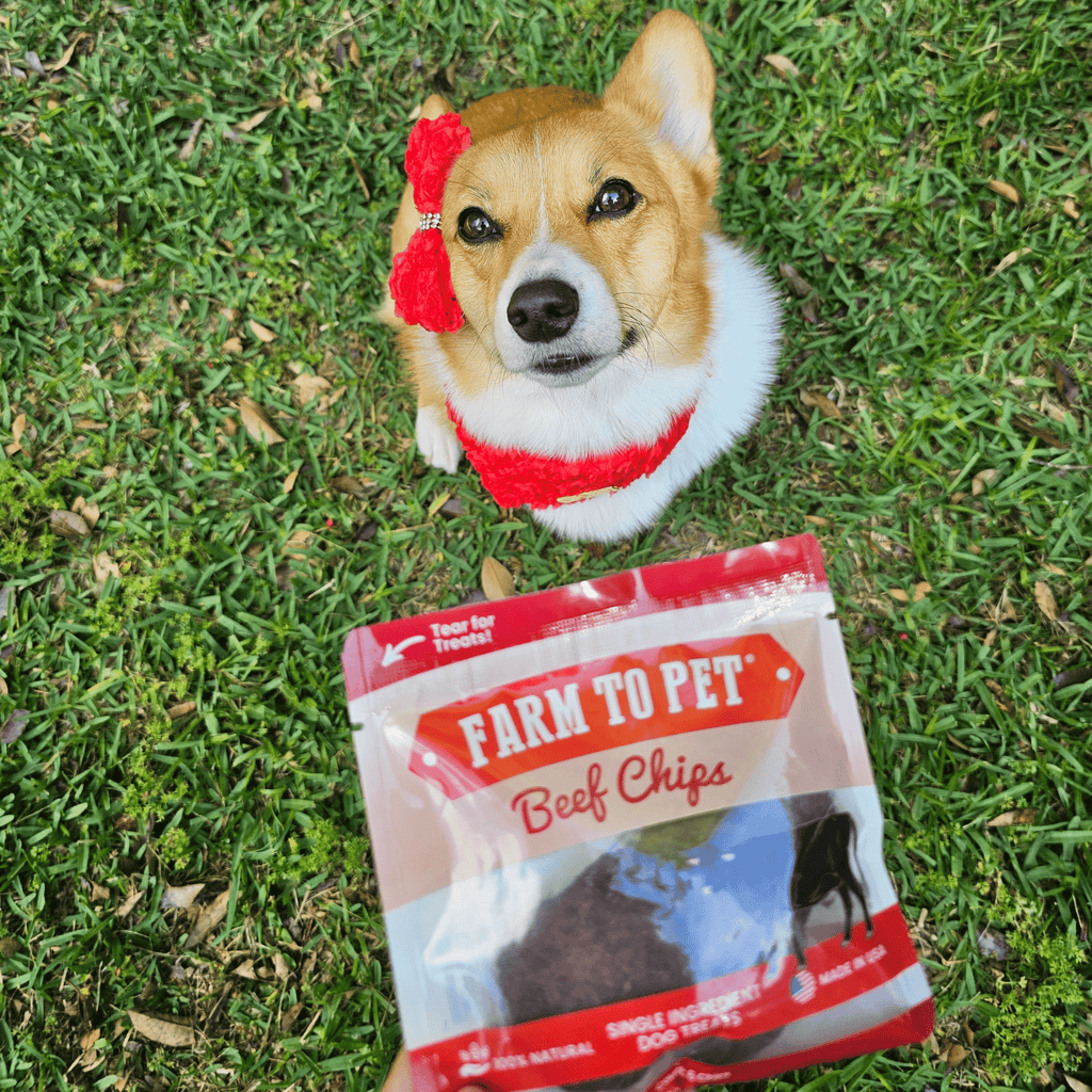 Beef Chips Snack Pack Bundles natural protein-rich dog treats for training and travel