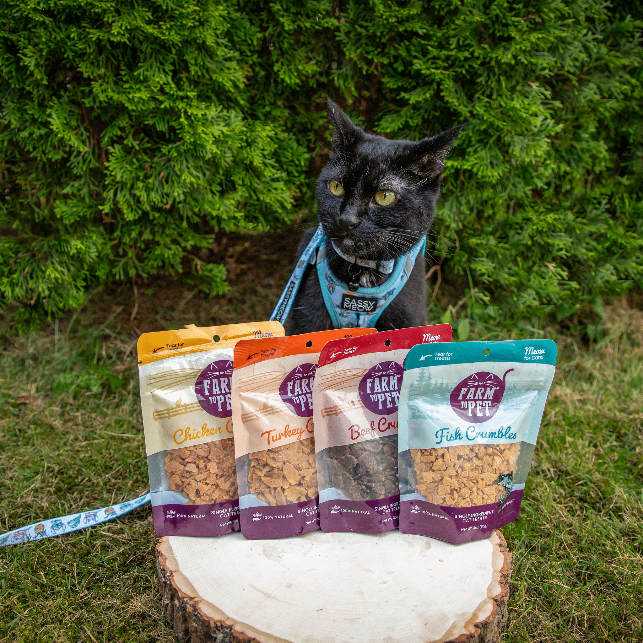 Farm to Pet Fish Crumbles for Cats made from 100% human-grade walleye fillets, grain-free and high in omega 3 fatty acids.
