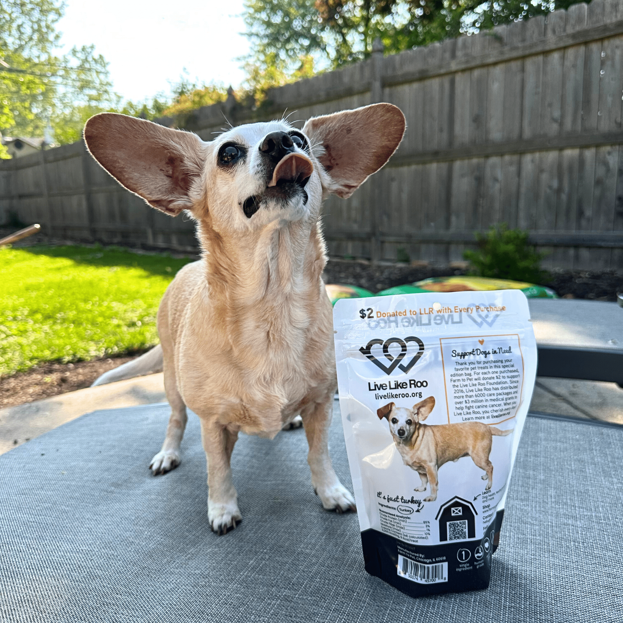 Live Like Roo Turkey Chips dog treats supporting canine cancer care and made with all-natural turkey breast