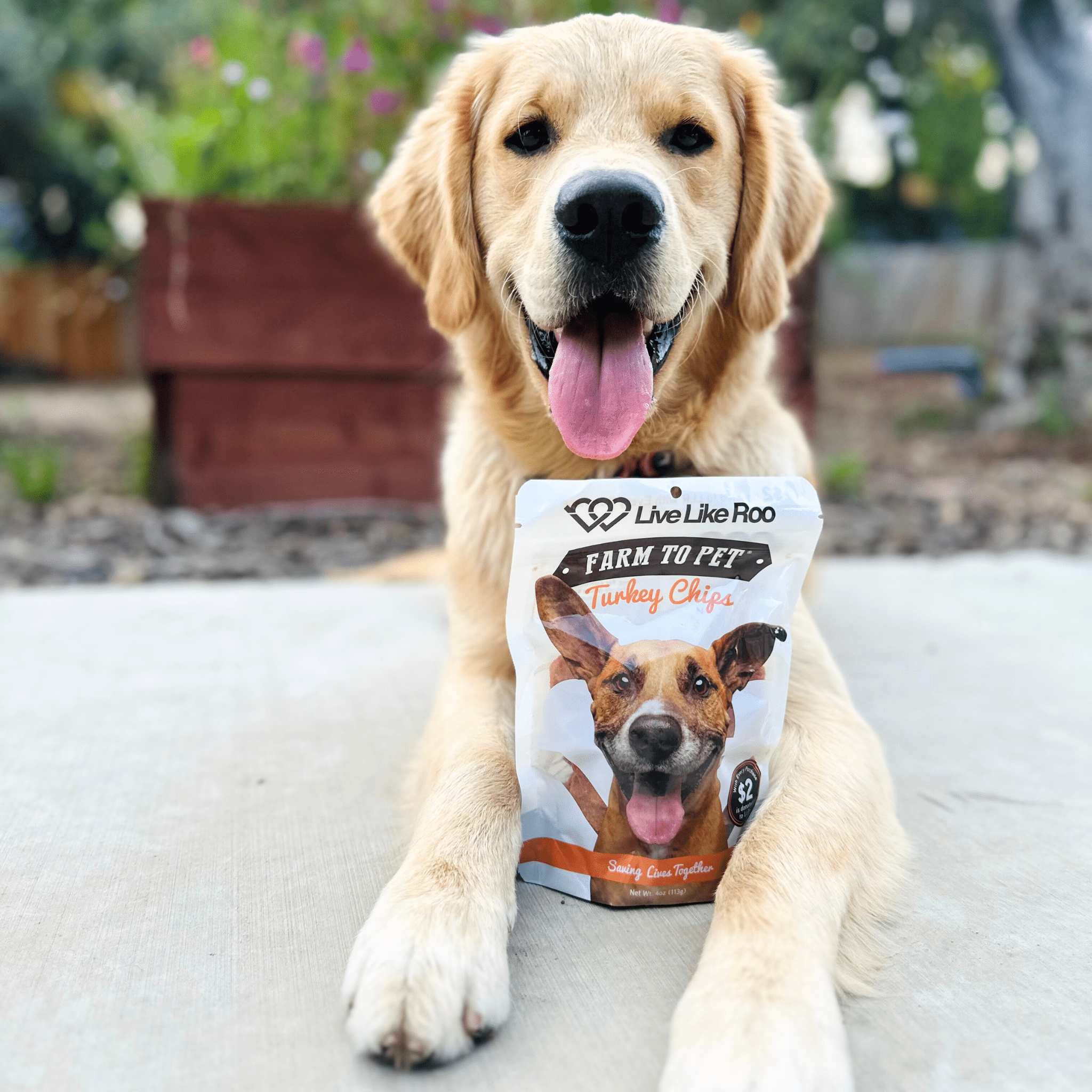 Live Like Roo Turkey Chips dog treats supporting canine cancer charity with all-natural turkey breast snacks