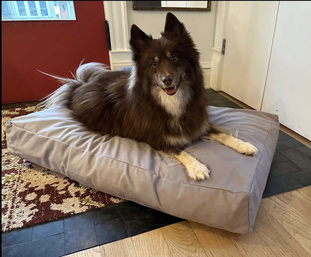 Cotton Duck Dog Bed with heavy-duty cotton cover and CertiPUR foam fill, washable and durable