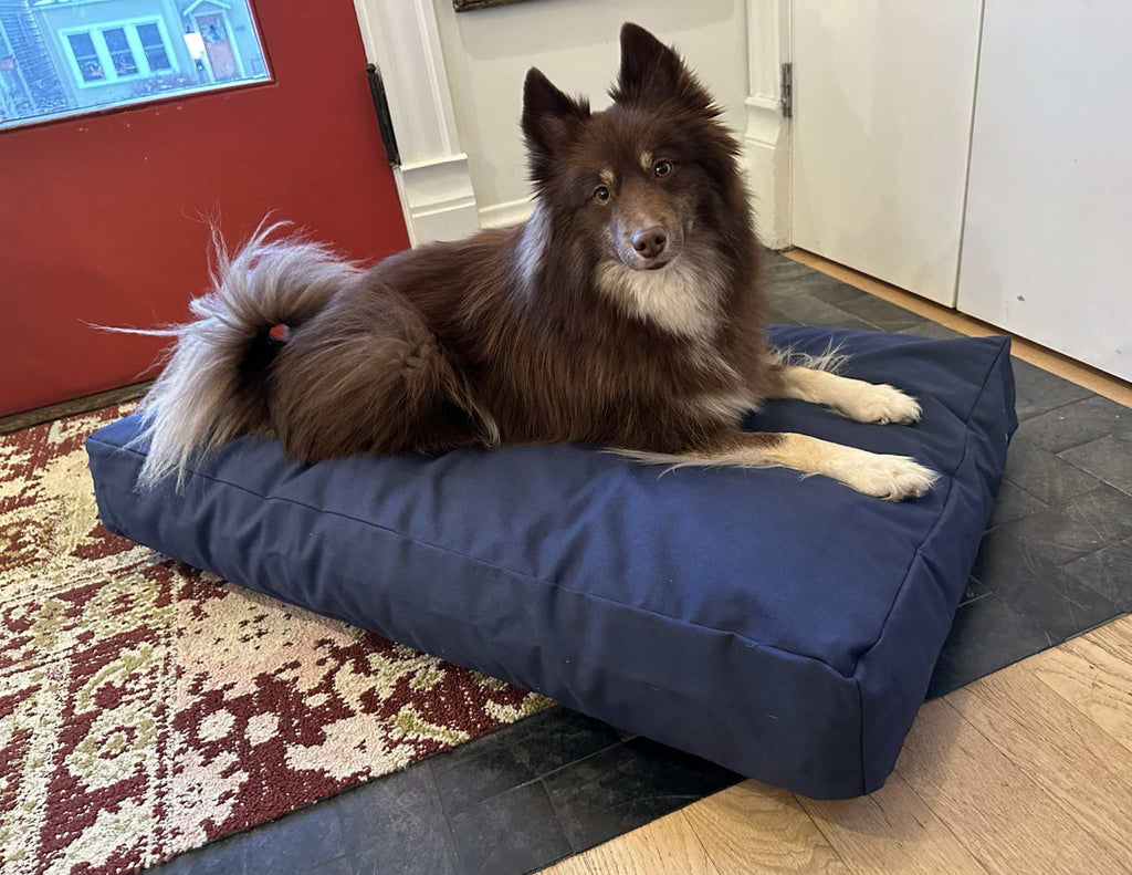 Heavy-duty cotton duck dog bed with CertiPUR foam fill and washable zippered cover