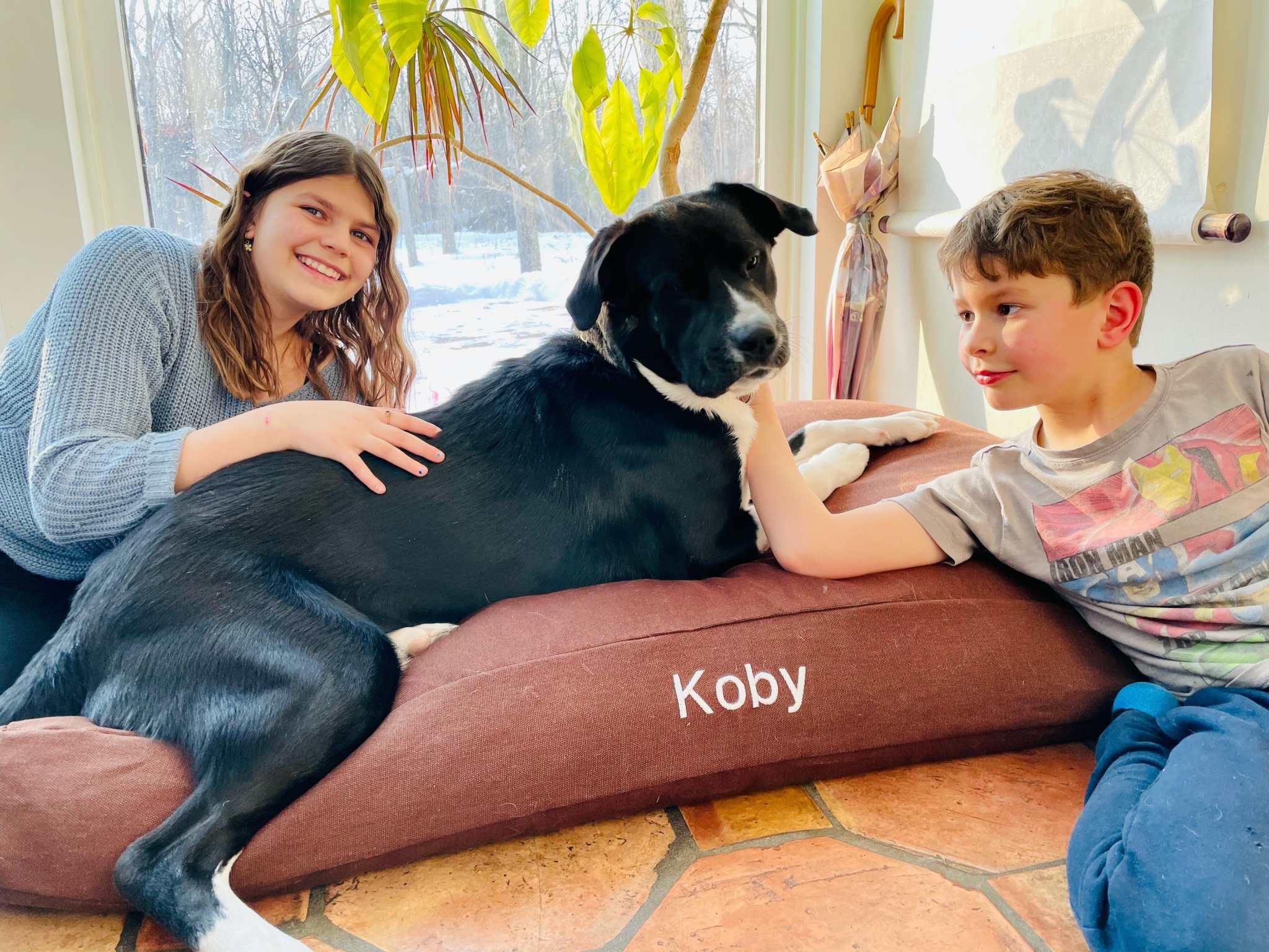 Premium hemp dog bed with durable organic cover and CertiPUR-US foam fill for pet comfort