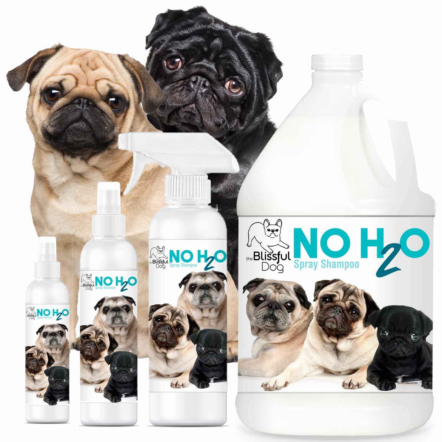 No H20 Spray Pet Shampoo bottle with clean dog in 60 seconds promotional image