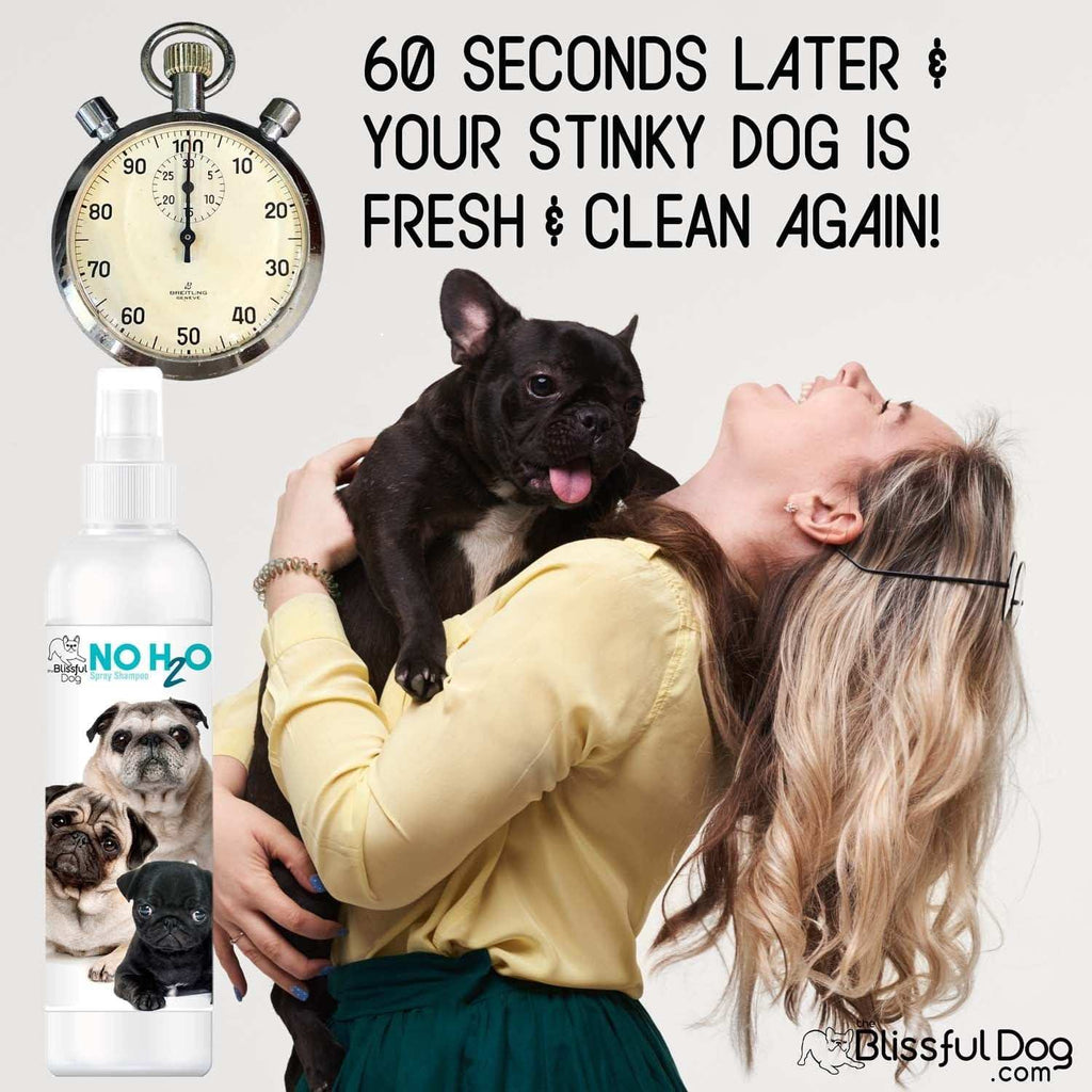 No H20 Spray Pet Shampoo bottle with clean dog in 60 seconds text