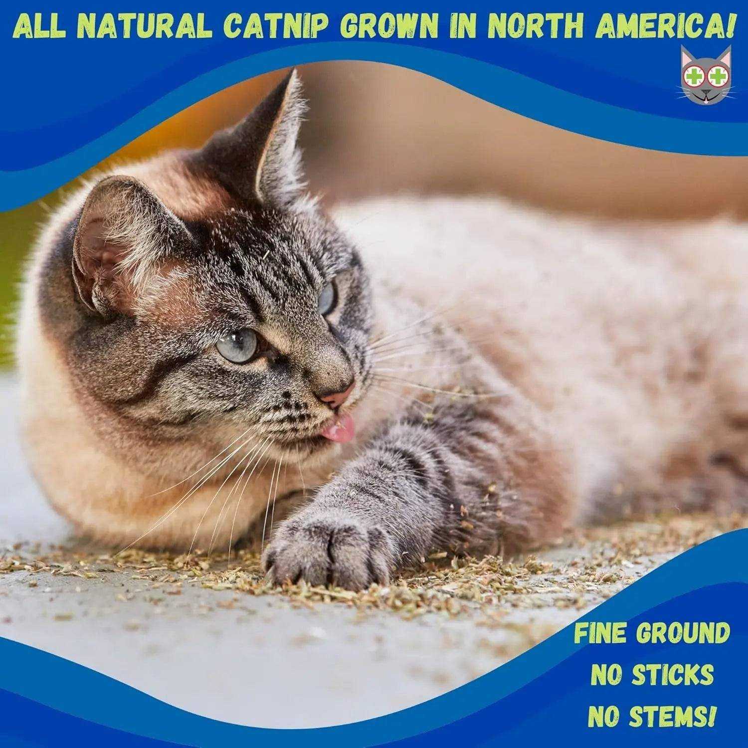 Smokey's Stash Premium Catnip organic stalkless ground catnip in 6oz and 12oz resealable bags