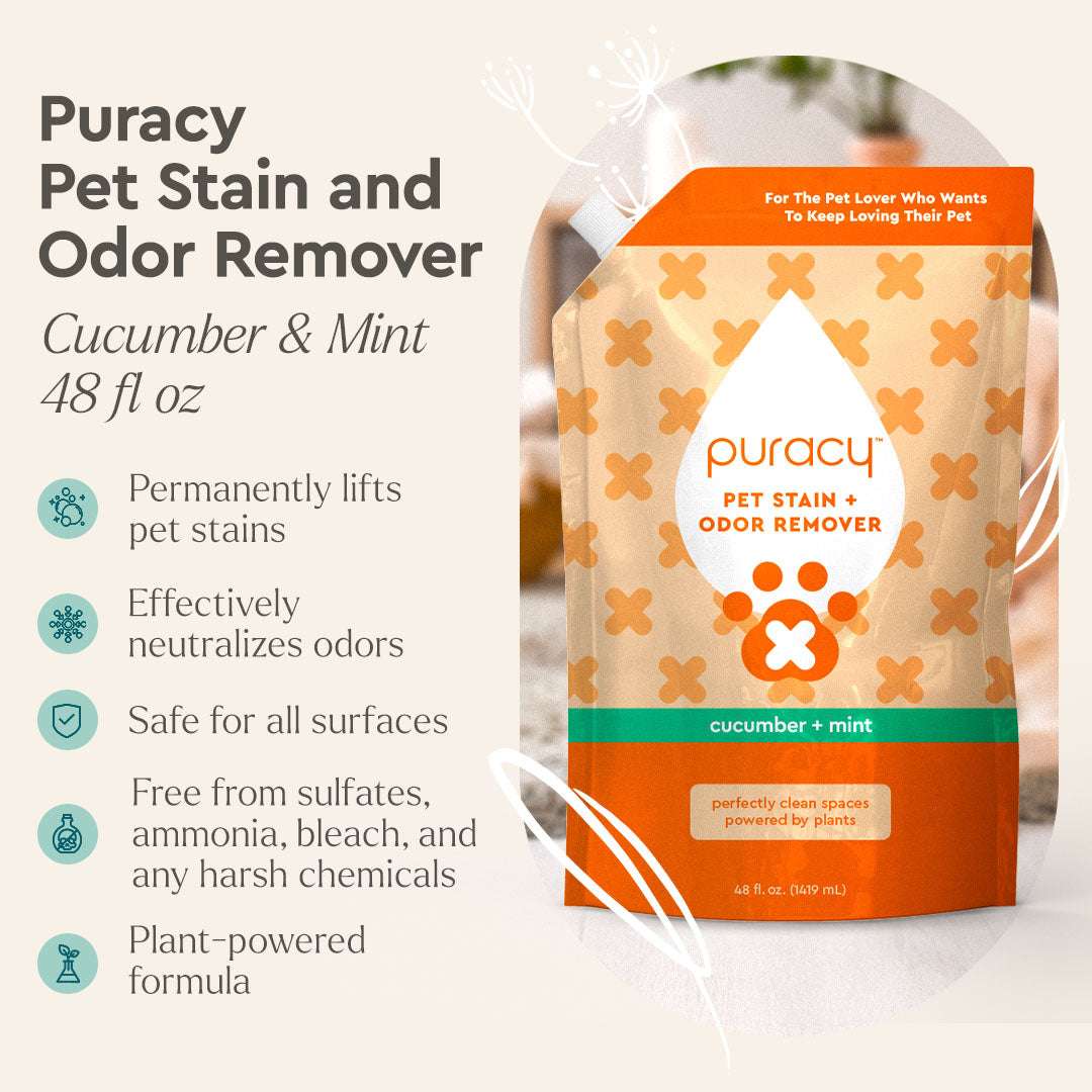 Pet Stain & Odor Remover bottle with plant-based enzyme formula for eliminating pet stains and odors on carpets and upholstery