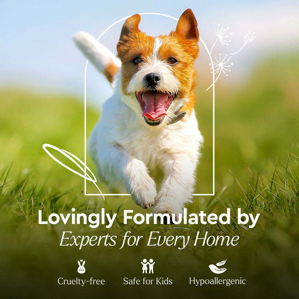 Pet Stain & Odor Remover bottle with plant-based enzyme formula for stain and odor elimination on carpets and upholstery