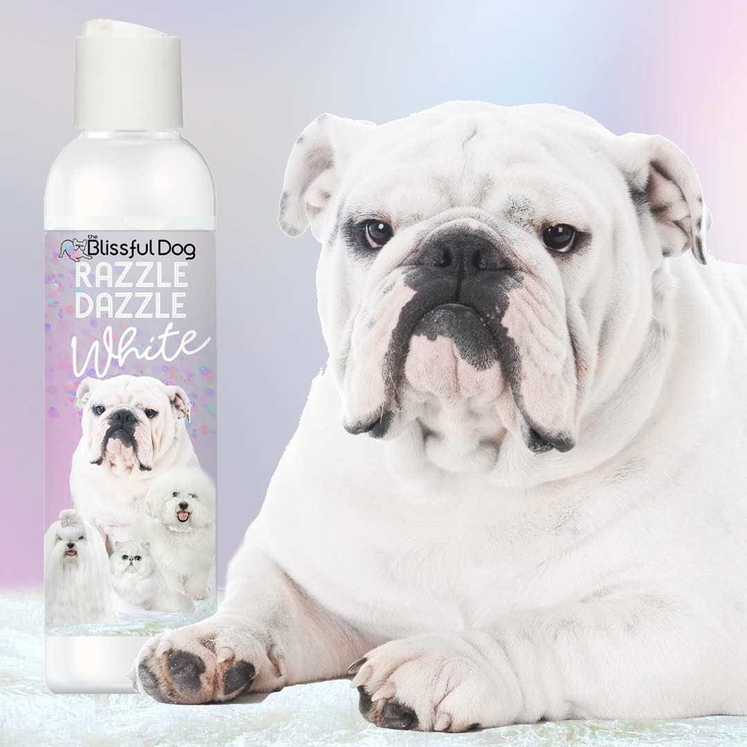 Bottle of Razzle Dazzle White Pet Shampoo for brightening and whitening white dog coats