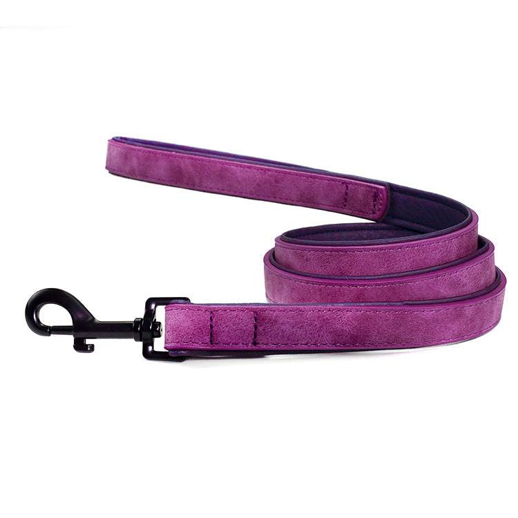 Blue and multicolor pull-resistant leather pet dog leashes in various sizes