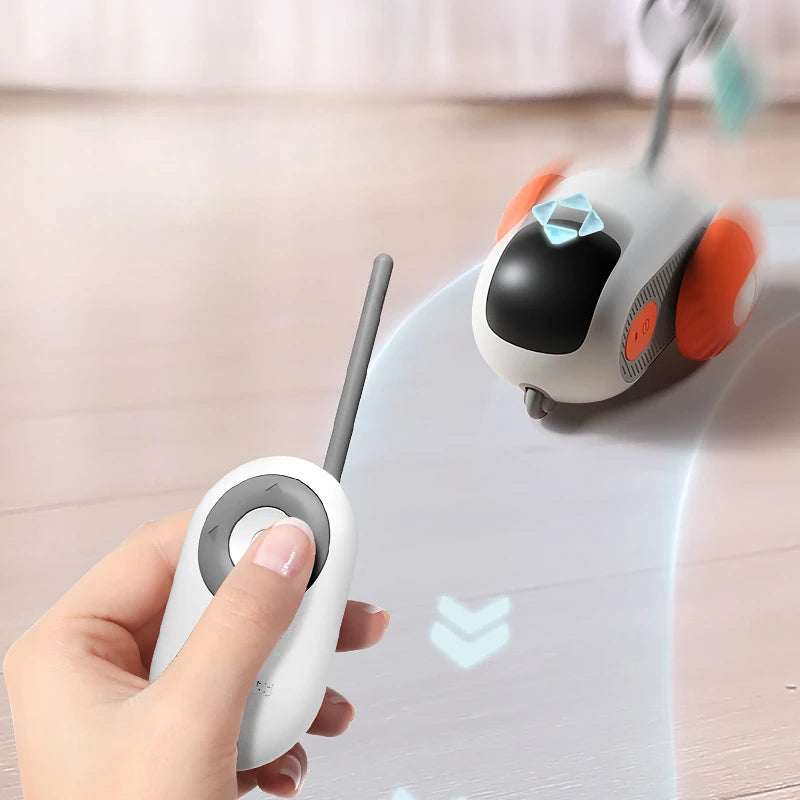 Blue remote control electric cat toy car for interactive feline play