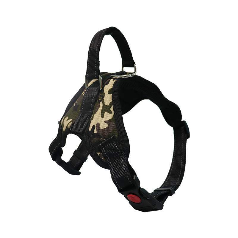 Medium and large nylon dog collars in various colors for pet supplies