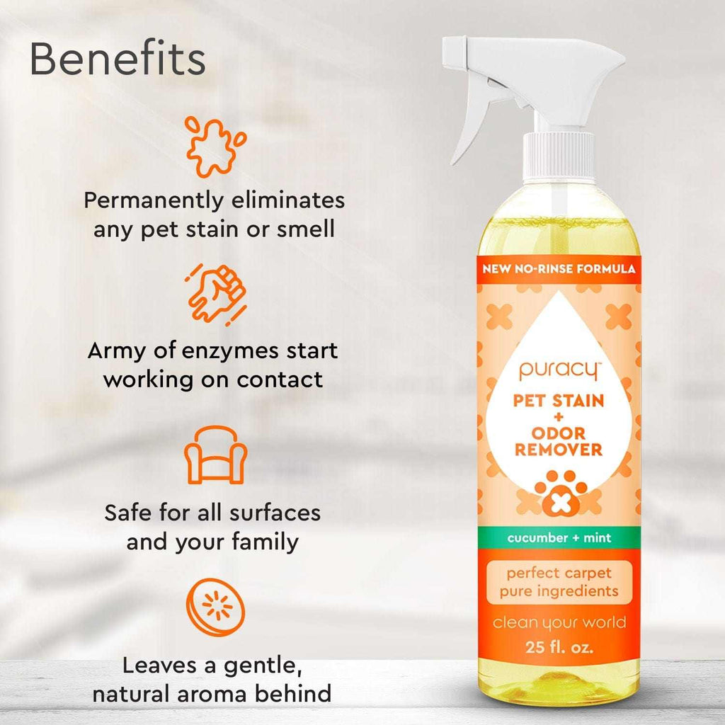 Pet Stain & Odor Remover bottle with plant-based enzyme formula for eliminating pet stains and odors on carpets and upholstery