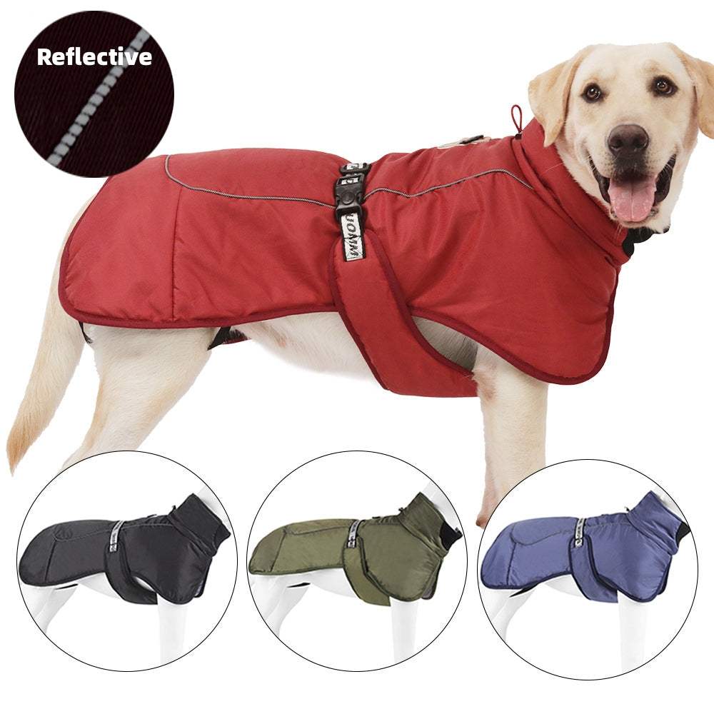 Dog wearing thickened warm cloak style dog clothes with reflective strips for safety