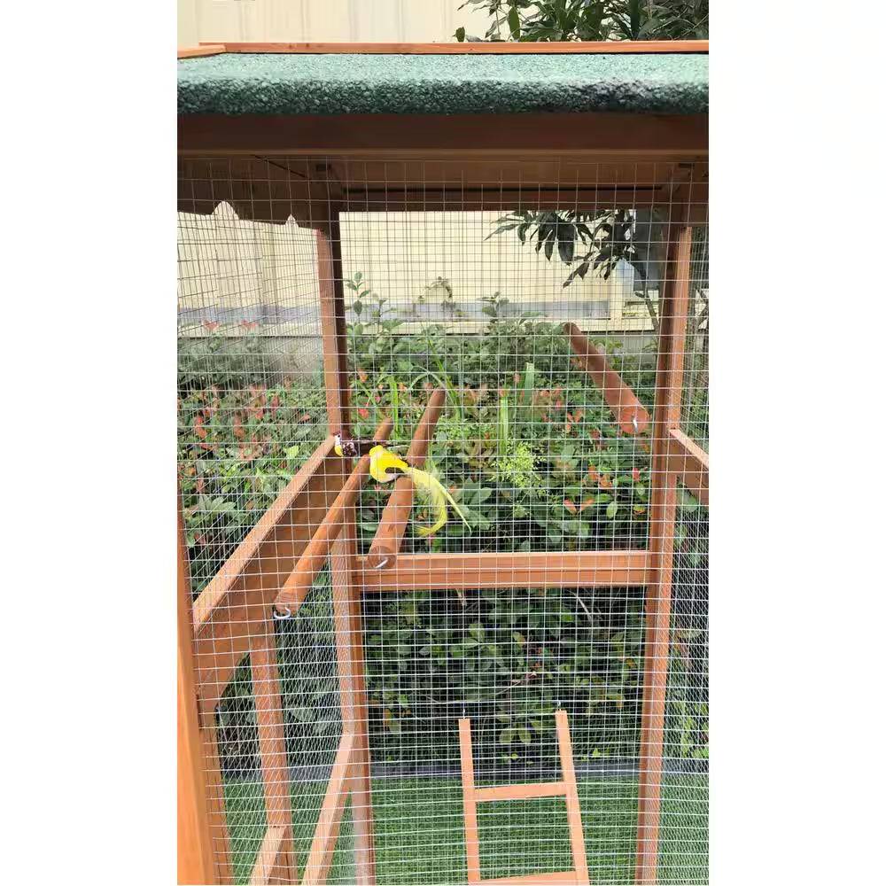 Wooden Bird Cage Outdoor for Small Birds