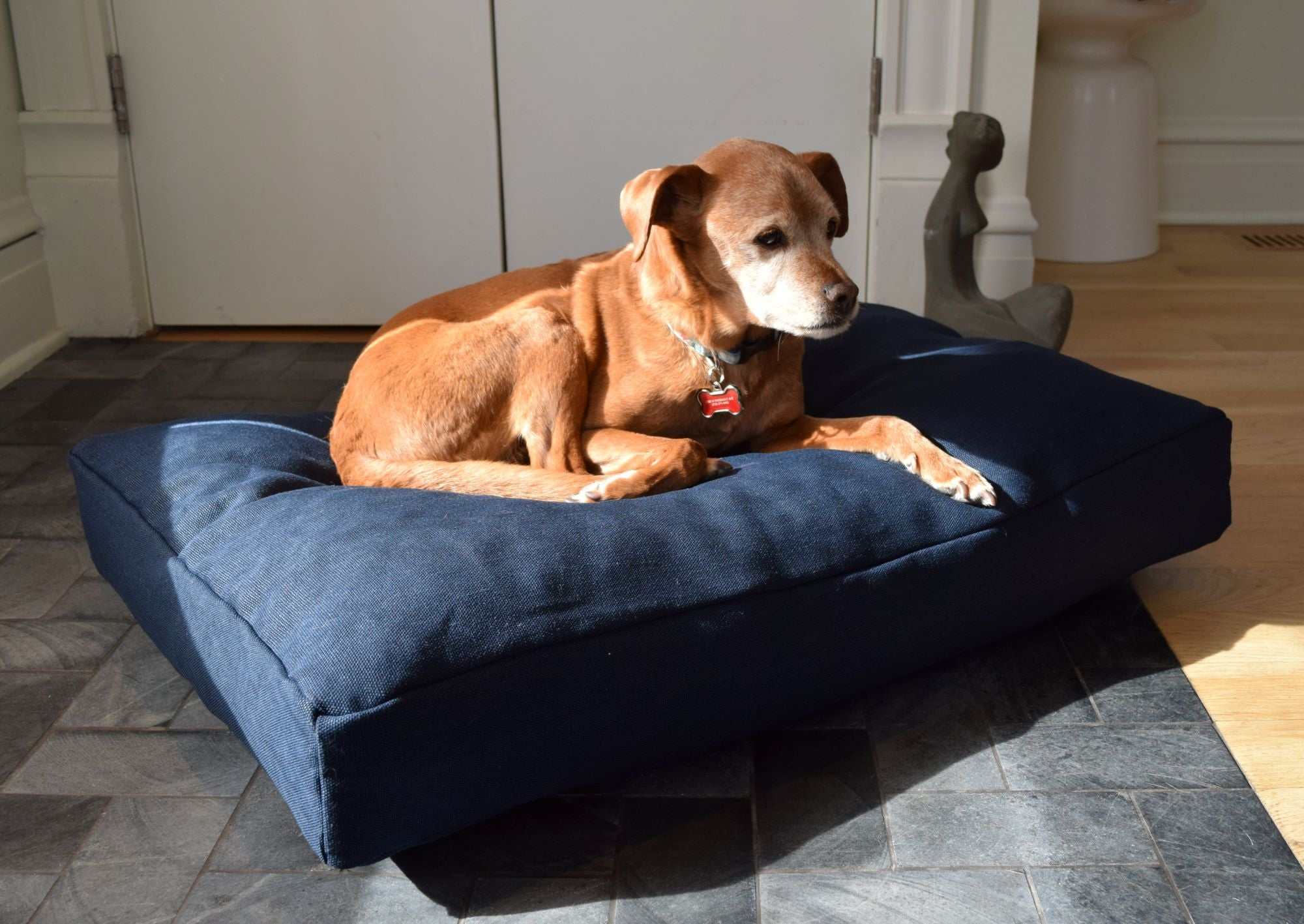 Premium hemp dog bed with durable organic fiber cover and CertiPUR-US foam fill for pet comfort and support