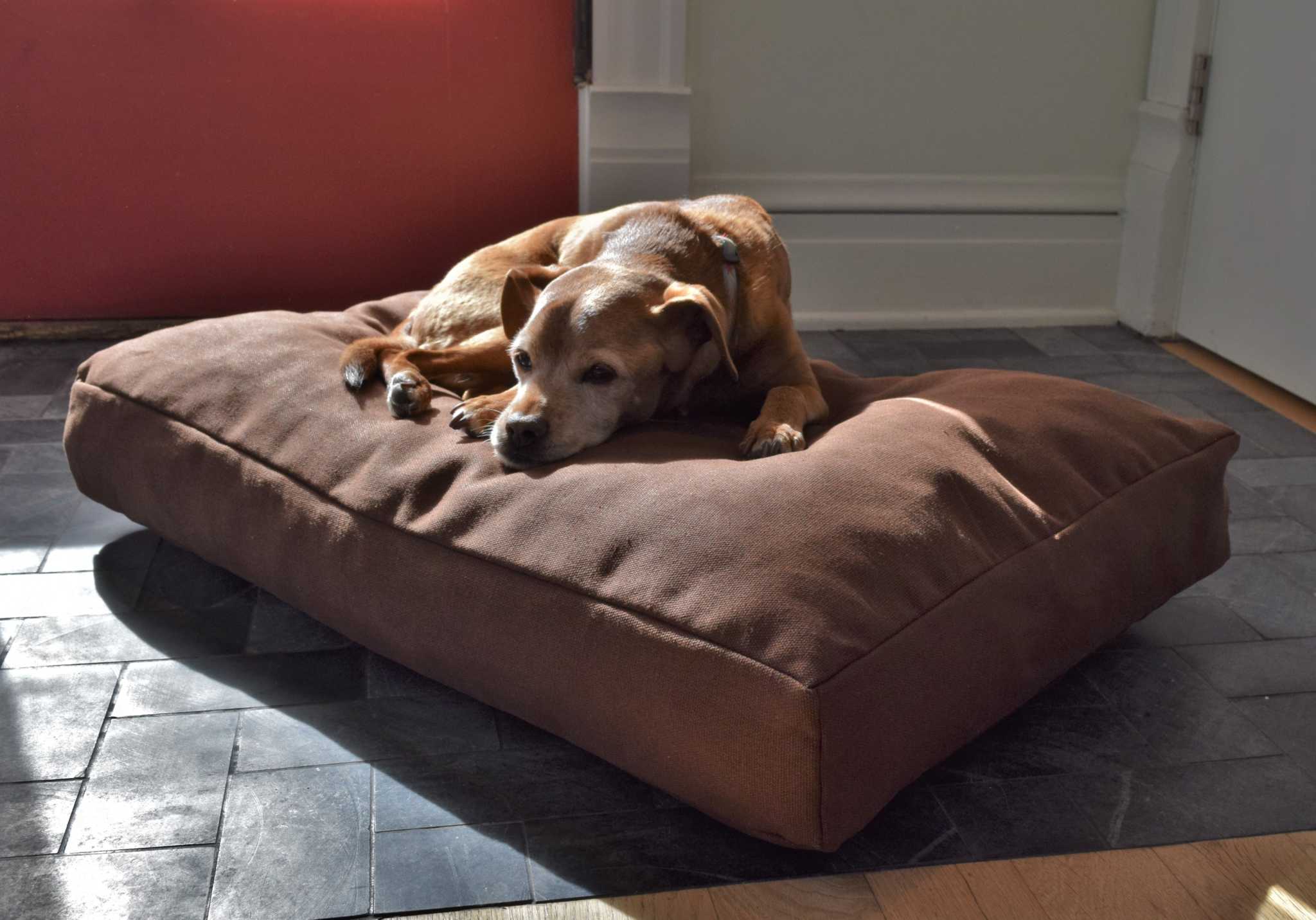 premium hemp dog bed with CertiPUR-US foam fill and organic hemp cover