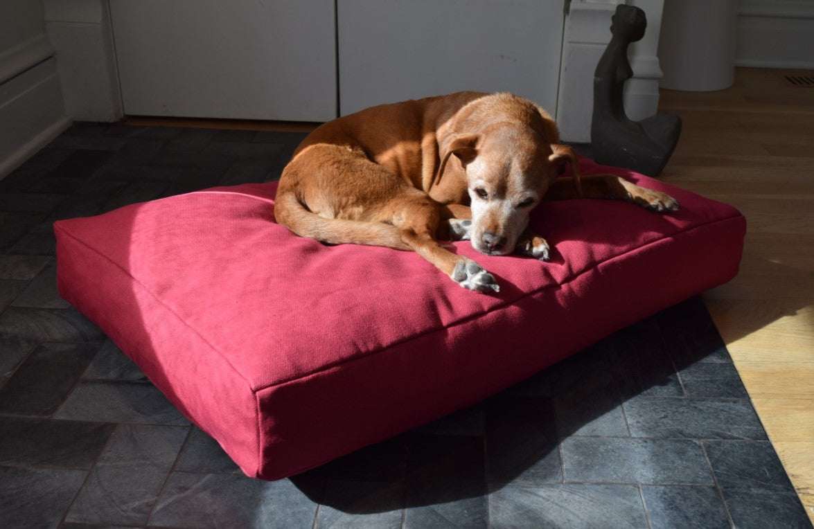 Premium hemp dog bed with durable organic hemp cover and CertiPUR-US foam fill for supportive, washable pet comfort