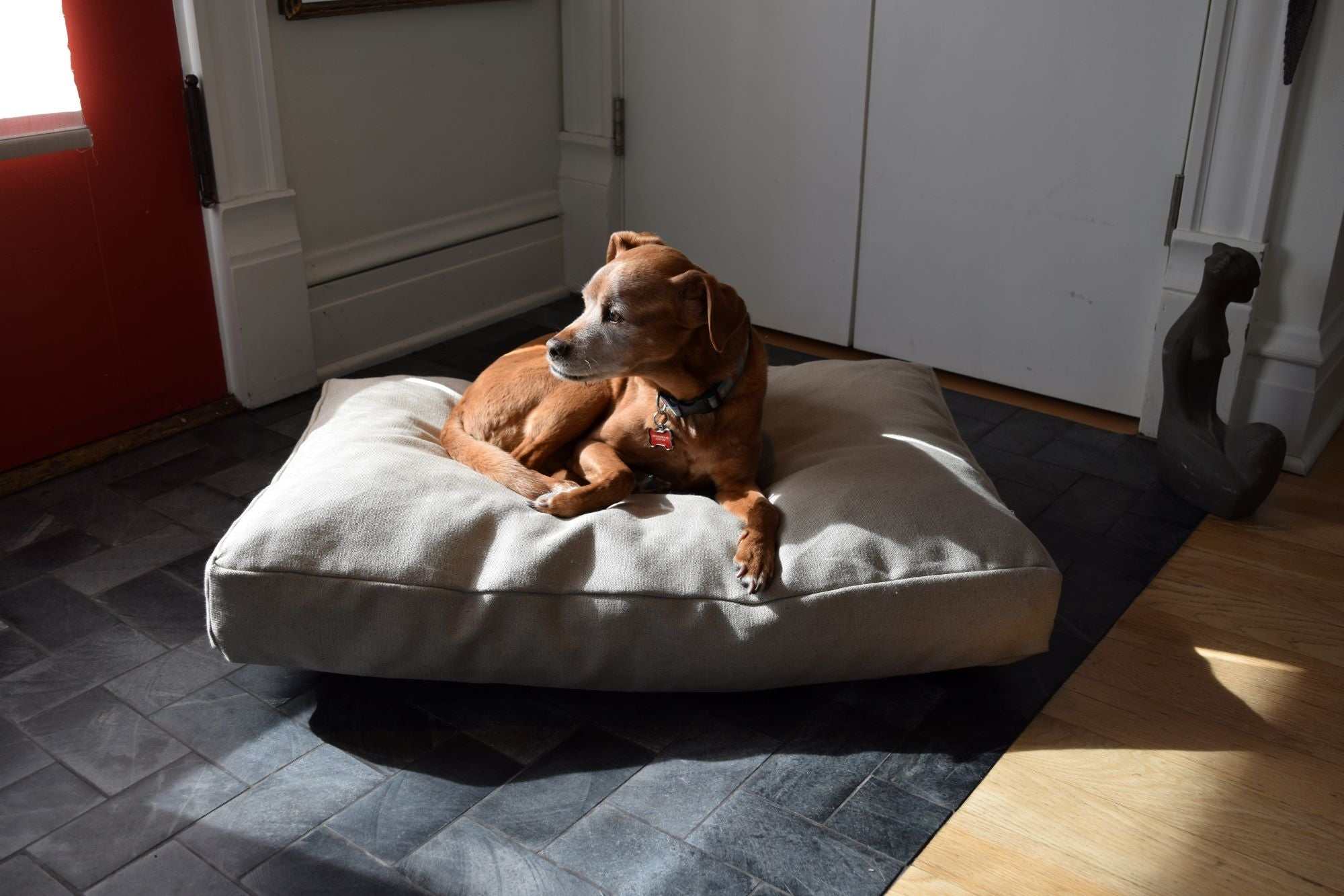 Premium hemp dog bed with CertiPUR-US foam and organic hemp cover for durable, supportive pet comfort