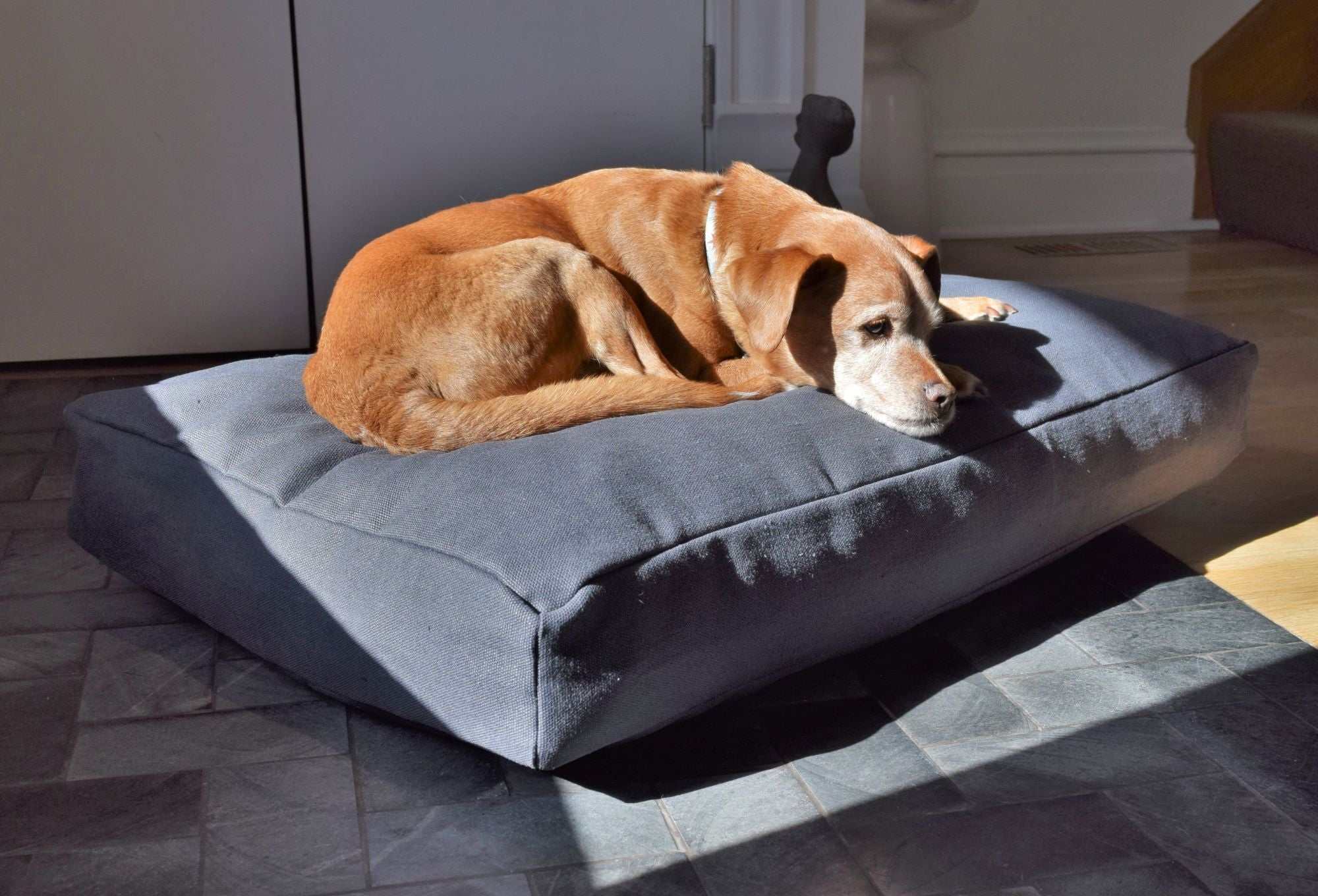 Premium hemp dog bed with durable organic cover and CertiPUR-US foam fill for pet comfort