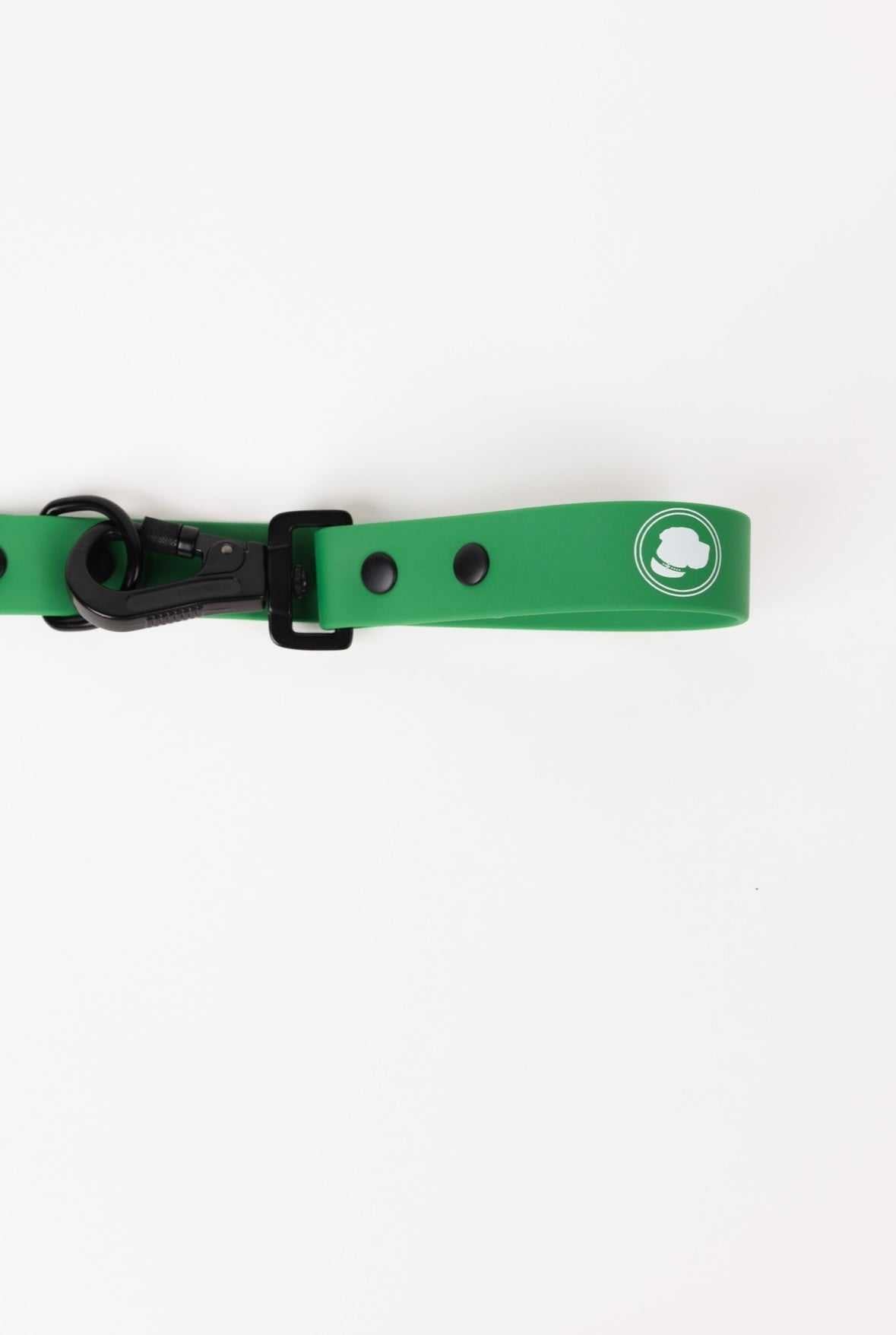 Modern Dog Company Clover Green adjustable all-weather dog leash with screw-shut clasp