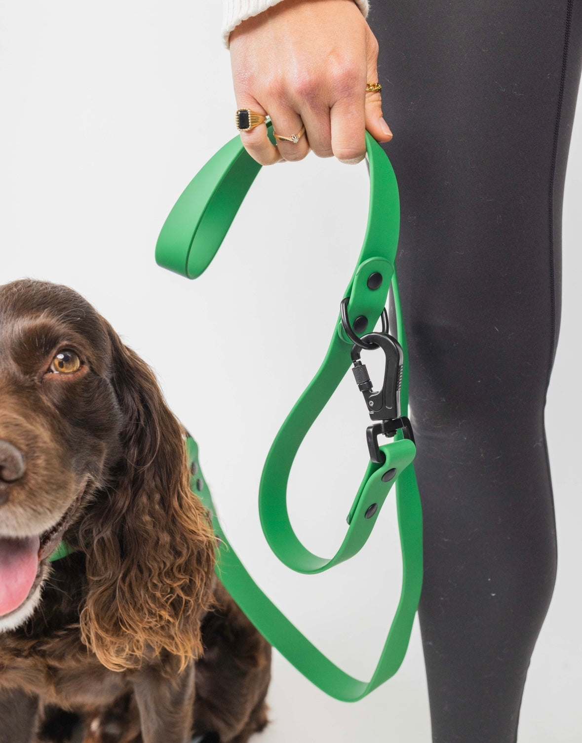Modern Dog Company Clover Green adjustable all-weather dog leash with updated clasp and easy attachment