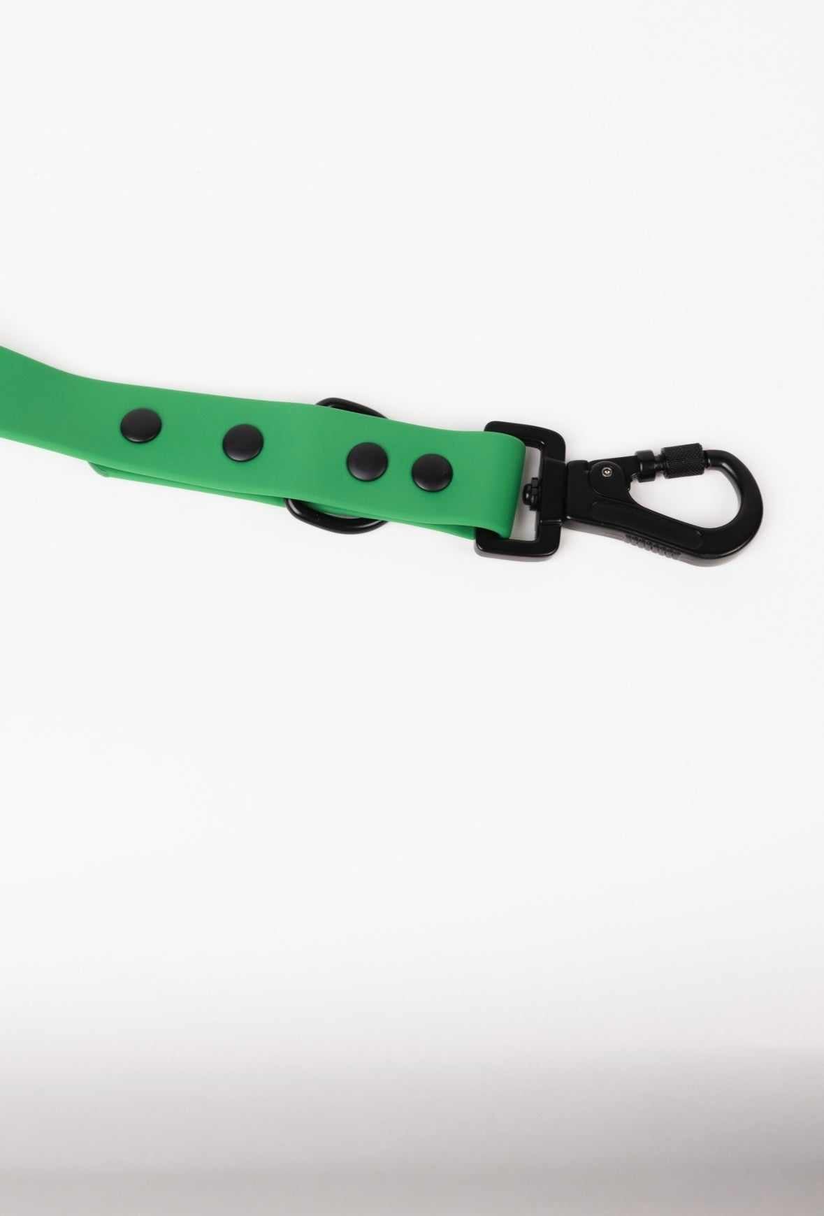 Modern Dog Company Clover Green adjustable all-weather dog leash with updated clasp
