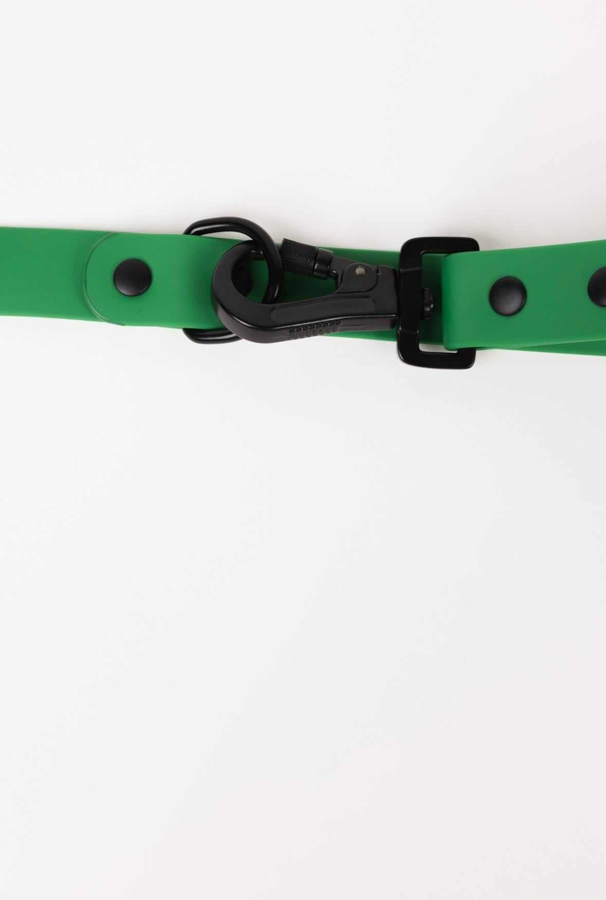 Modern Dog Company Clover Green adjustable all-weather dog leash with screw-shut clasp